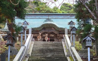 ⛩️ 황금꽃 산 황금산 신사 (킨카산 코가네야마 진자) 이미지 2